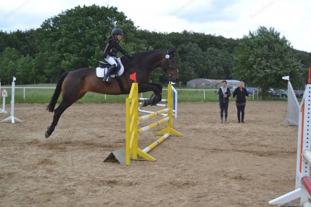 reitertag 2013 71